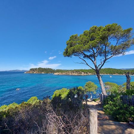 Coquet studio avec belle terrasse Appartamento La Londe-les-Maures Esterno foto